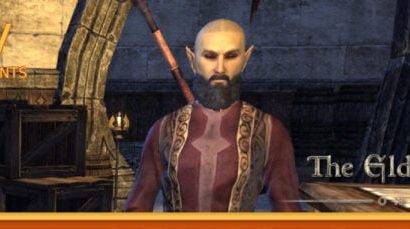 The Stream Team : Undercover dans Elder Scrolls Online, avec des barbes