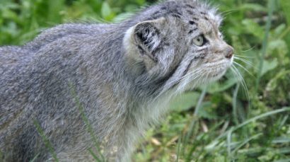 WRUP : Je n'ai pas la moindre idée de l'édition