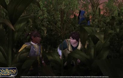 Les serveurs légendaires de LotRO bénéficient d&rsquo;un nouveau réglage de Wraith alors que la foire des fermiers démarre