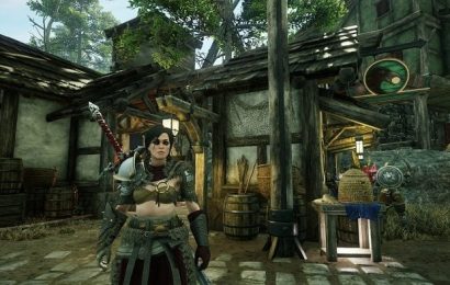 La solitude du joueur solo de MMO
