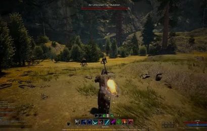 Pleins feux sur les MMO indépendants : Quin tombe en accès anticipé
