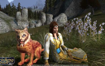 MMO Friday Fight Round 13: Pet Class vs Shapeshifter MMO Friday Fight Round 13: Pet Class vs Shapeshifter