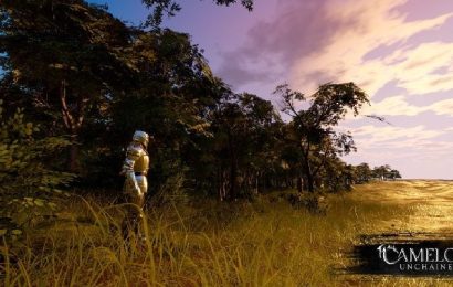 Après la moitié de l&rsquo;équipe licenciée, la communauté Camelot Unchained exige des mises à jour régulières et obtient … quelque chose
