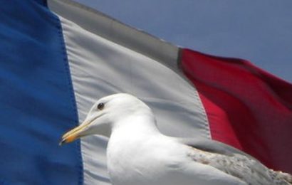 Wrup: Veuillez vous élever pour l’édition nationale de l’hymne de Seagull Wrup: Veuillez vous élever pour l’édition nationale de l’hymne de Seagull