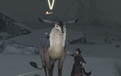 Tout le monde dans FFXIV aime la biche Glitched de niveau 1 nommée absolument rien Tout le monde dans FFXIV aime la biche Glitched de niveau 1 nommée absolument rien