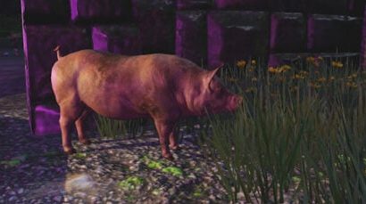 Le serveur Miraverre de Project Gorgon a éclaté en drame à cause de la pop des joueurs et de la modération