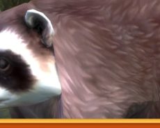 L&rsquo;équipe Stream : obtenir un Jimothy pour le 14e anniversaire du MVOP dans Guild Wars 2