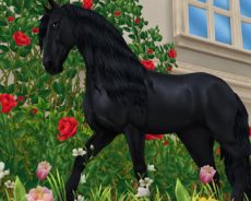 Qu’est-il arrivé au MMORPG équestre Star Stable, vieux de 15 ans ? Qu’est-il arrivé au MMORPG équestre Star Stable, vieux de 15 ans ?