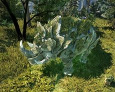 Black Desert Online ajoute la mise à l’échelle DX12 et AMD FSR, un nouveau système de récompenses Solare et des changements de rôles Rawr-Rawr Black Desert Online ajoute la mise à l’échelle DX12 et AMD FSR, un nouveau système de récompenses Solare et des changements de rôles Rawr-Rawr