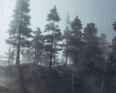 Le jeu de tir de survie sur le thème du Far West, Legend of California, repousse l’accès anticipé à l’année prochaine Le jeu de tir de survie sur le thème du Far West, Legend of California, repousse l’accès anticipé à l’année prochaine