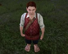 LOTRO Legendarium : se faire des amis dans le nouveau système de voisins du SdAO